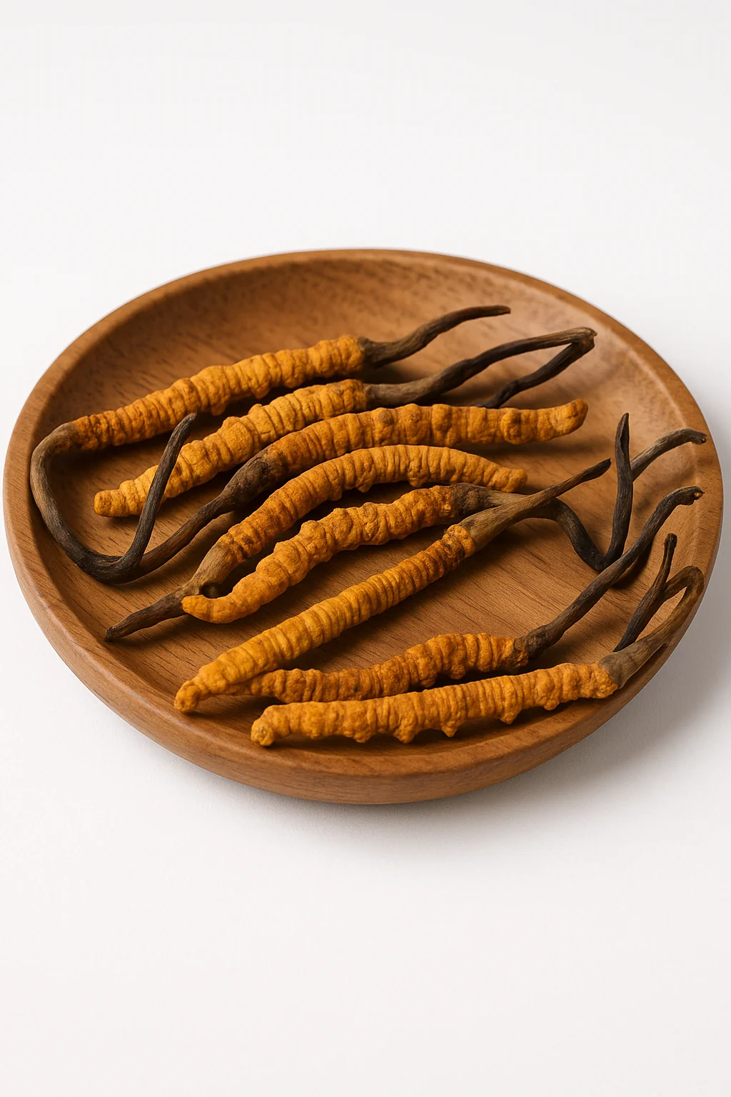 Cordyceps DXN